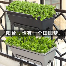 花盆塑料盆种菜种花专用箱长方形塑料盆家用阳台种菜盆多肉专用盆