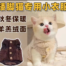 猫咪加厚加绒秋冬保暖超萌绒衣羊羔绒面背心蓝猫矮脚猫专业小衣服