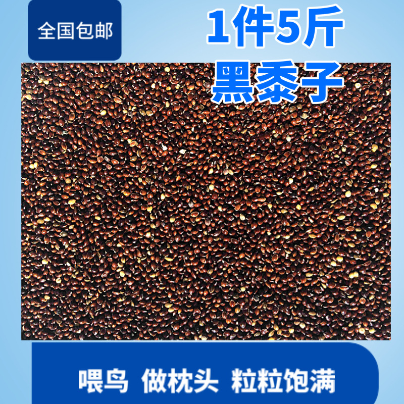 美顿宝包邮带壳黑糜子黍子1件5斤枕头料鸟食饲料枕头芯鸽粮免运费