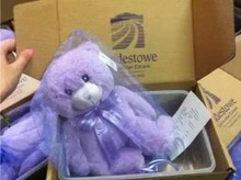 Lavender bear purple bear doll teddy bear plush toy cuddly跨