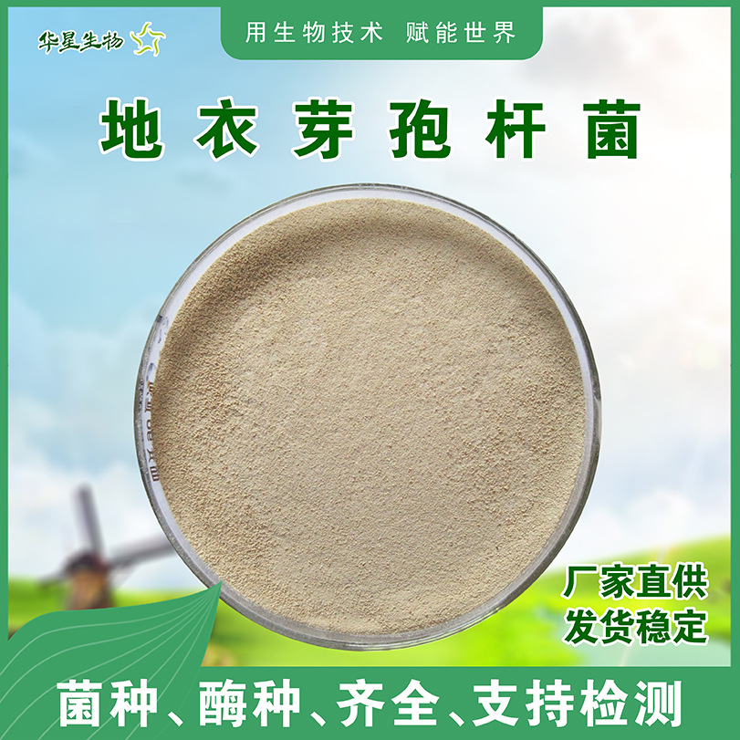 地衣芽孢杆菌1000亿2000亿全水溶净水改底用农业种植畜牧专用活菌