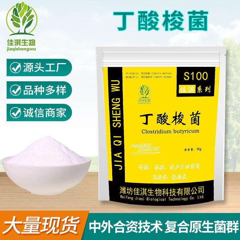 丁酸梭菌 水产畜禽养殖用菌粉饲料添加剂 50亿调节肠胃酶制剂