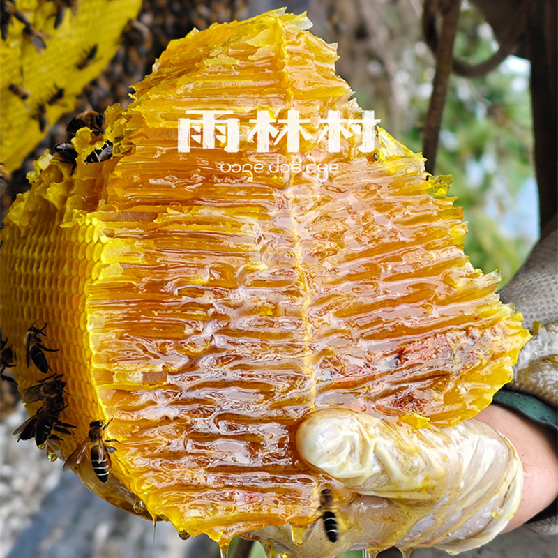 包邮云南崖蜜野生岩蜂蜜深山悬崖天然百花蜜蜂巢蜜土蜂蜜官睿