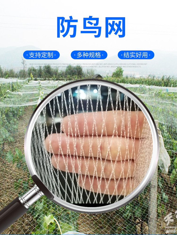 厂家批发尼龙防鸟网 池塘果园涤纶防鸟网 防老鹰防麻雀喜鹊塑料网