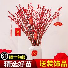 银柳真花鲜枝干花摆件室内水培绿植物新年桶年宵花卉盆栽客厅家用