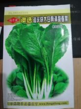 四季速生快大白骨甜春菜种子小白菜青菜香芥菜耐热寒春夏秋冬四季