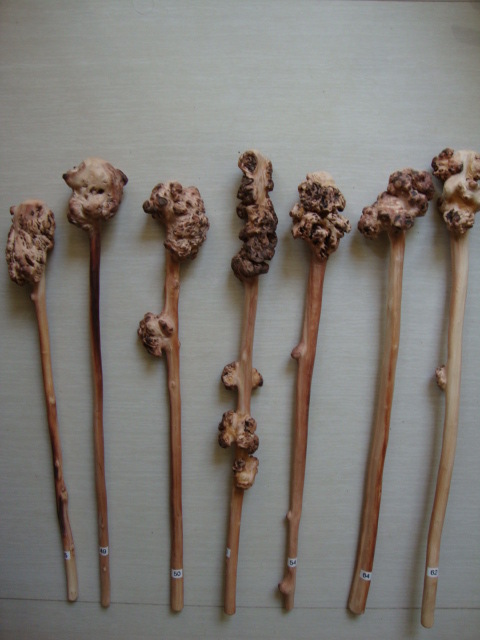 树瘤棍云南红河特产黑果木树瘤根雕保健敲背小锤把玩防身棍