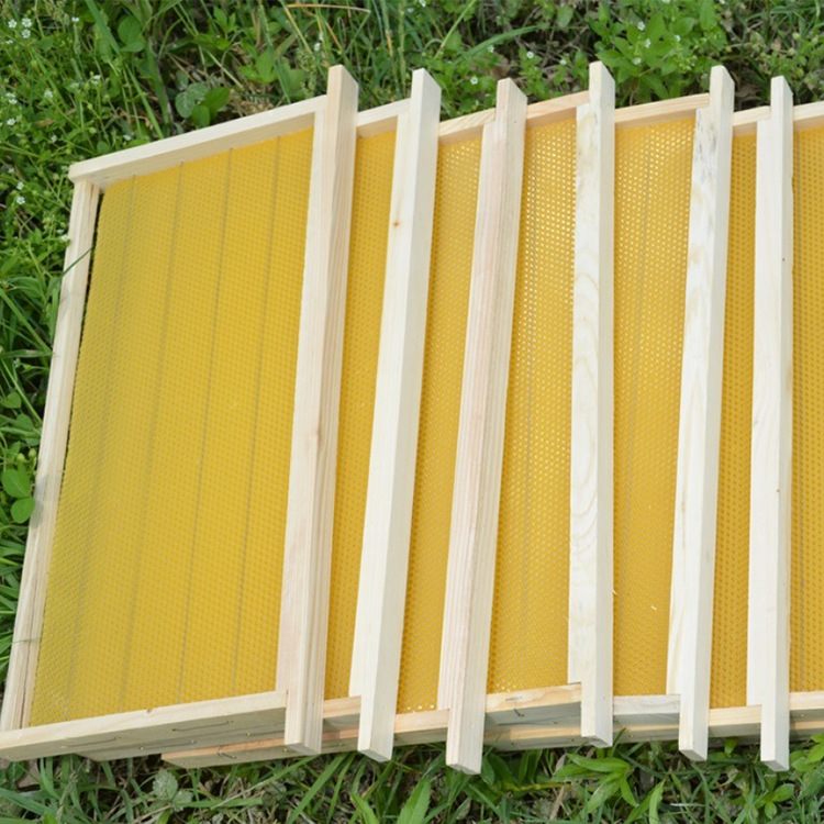 成品带框巢础蜂巢框杉木带框巢础中蜂意蜂 蜂箱巢础用具养蜂工具