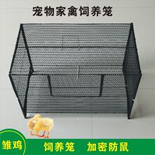 鸡笼小鸡笼子育雏笼家用雏鸡专用笼加密防鼠养鸽子鹌鹑鸟芦丁鸡笼