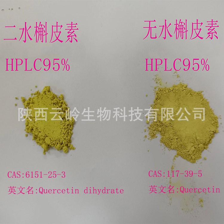 槐米提取物二水槲皮素和无水槲皮素粉末颗粒95%HPLC98%UV槲皮素