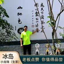 山地色云南茶叶冰岛地界龙珠散装批发古树茶冰糖甜生普洱茶早春茶