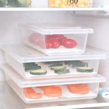 日式家用冰箱鱼虾冷冻保鲜盒带分隔板塑料水果可冷藏收纳盒