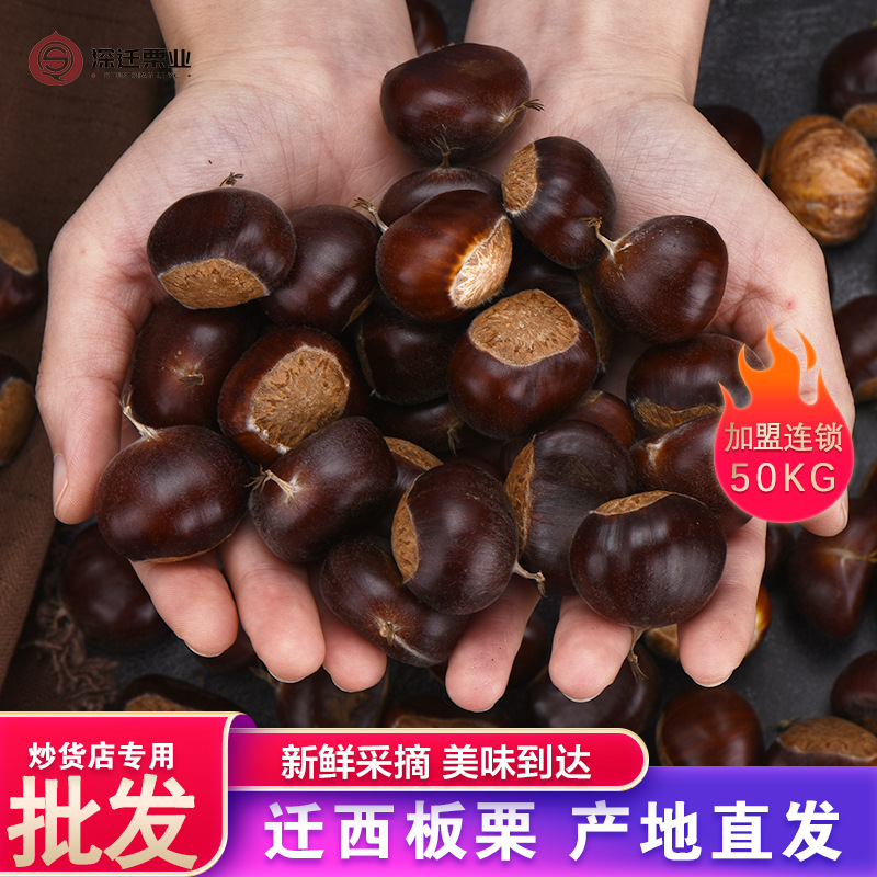 2025正宗迁西板栗批发 河北313板栗生新鲜 油栗糖炒3113栗子100斤