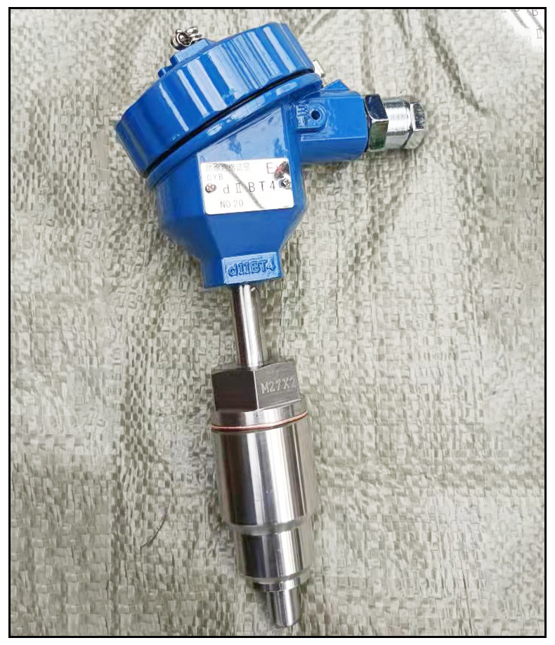 厂家供应防爆热电阻wzp-240 pt100温度仪表 测量精准 规格多样