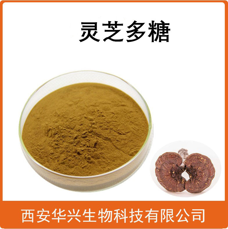 灵芝多糖粉50% 灵芝提取物灵芝多糖灵芝菌丝体多糖500g灵芝多糖90