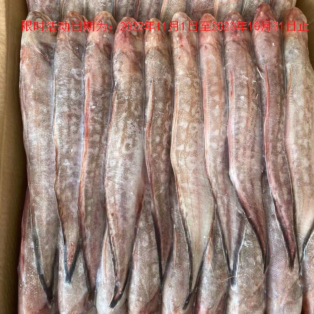 新鲜凤尾鱼黄尾鱼香煎油炸鱼熏鱼速冻无冰海鲜小吃烧烤食材-阿里巴巴