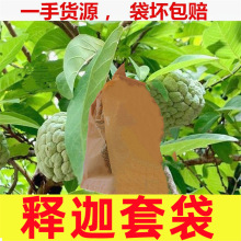 【厂家直发】释迦果专用套袋莲雾水果袋番荔枝专用育果套袋