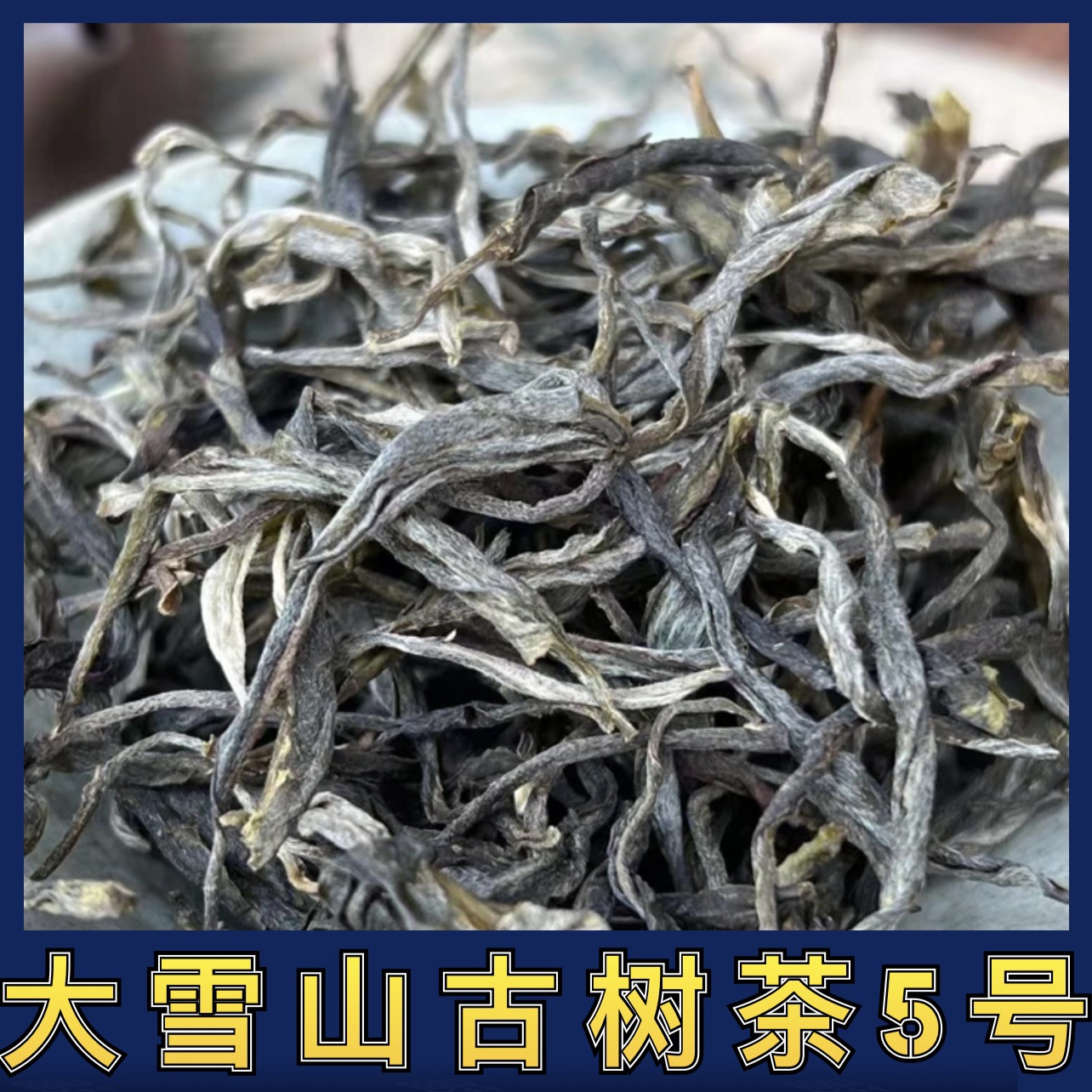 云南普洱茶散茶批发大树益生茶大叶种晒青毛茶大雪山古树茶5号1斤
