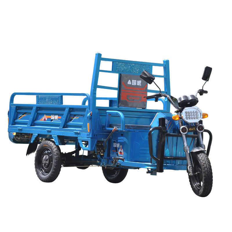 国威电动三轮车拉货载货水电瓶家用货运爬坡载重王农用快递车1.