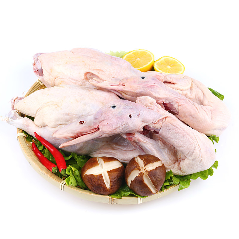 现杀白条鸭 农村散养活鸭土鸭生鸭整只鸭水鸭麻鸭番鸭鸭肉代发