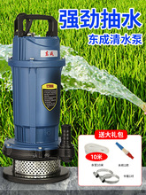 东成潜水泵220v家用小型清水井水抽水机高扬程农用灌溉抽水泵