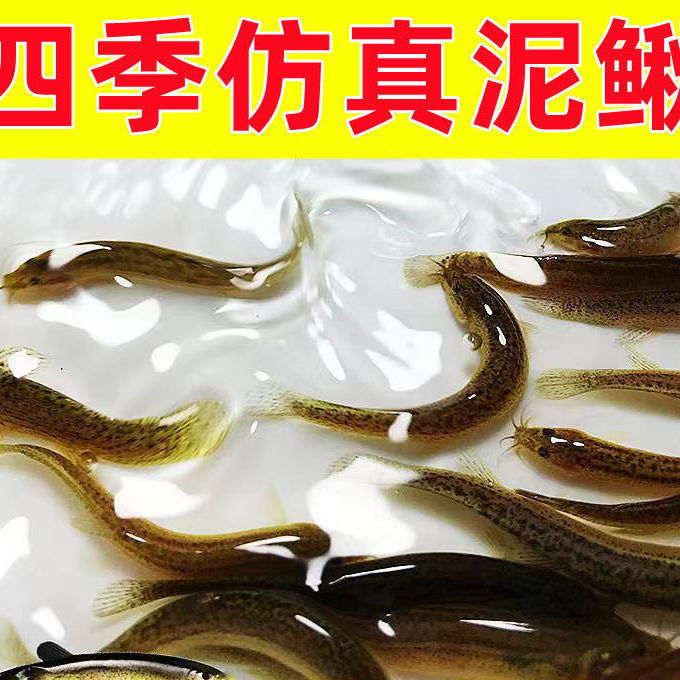 新款仿生小泥鳅路亚加盐加腥钓翘嘴鳜鱼鲈鱼软虫假饵拟饵-阿里巴巴