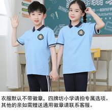 校服套装小学生夏季短袖藏蓝裤子班服幼儿园园服六一节棉T恤蓝色