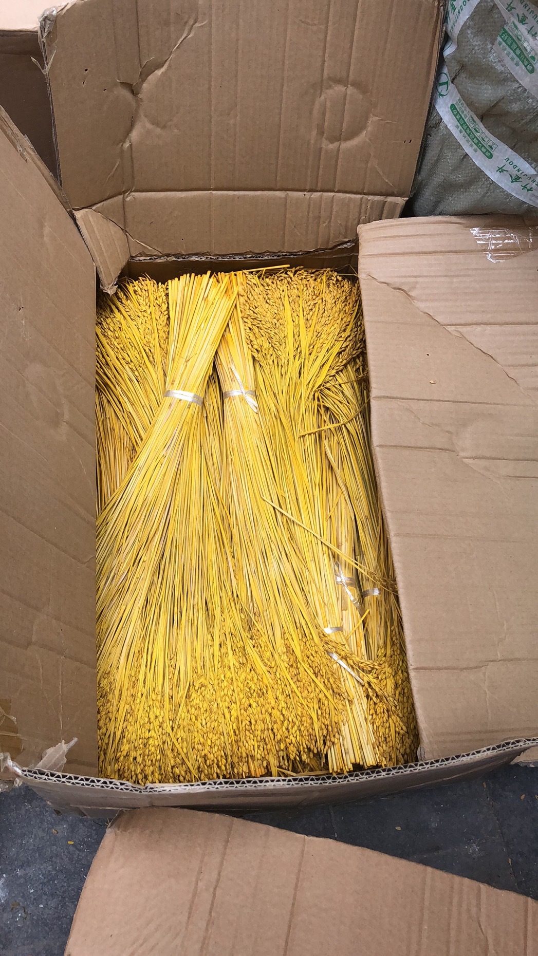 天然稻穗干花批发拍摄道具稻穗干花 稻草装饰麦穗干花花束 干稻穗