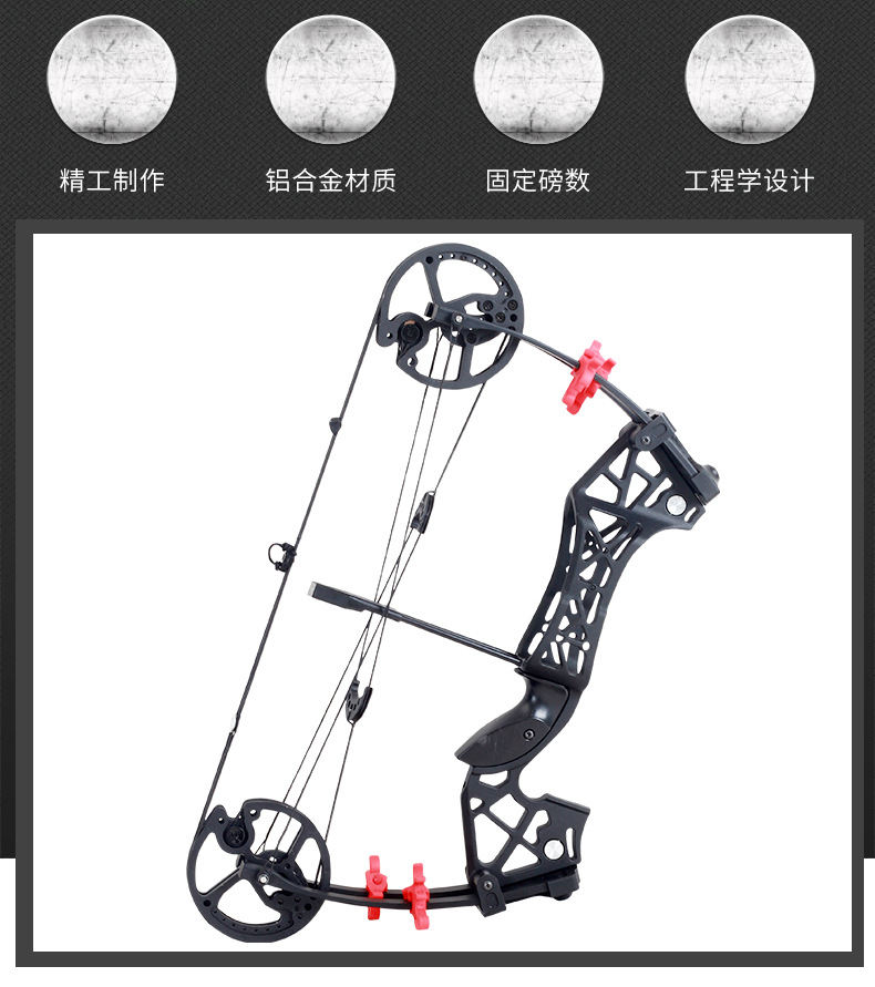 新款朱雀射箭钢珠两用滑轮复合箭弓户外射箭射鱼车载钢珠一弓多用