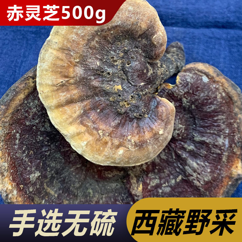 西藏赤灵芝正品灵芝干货林芝赤灵芝草灵芝片整枝500克-阿里巴巴
