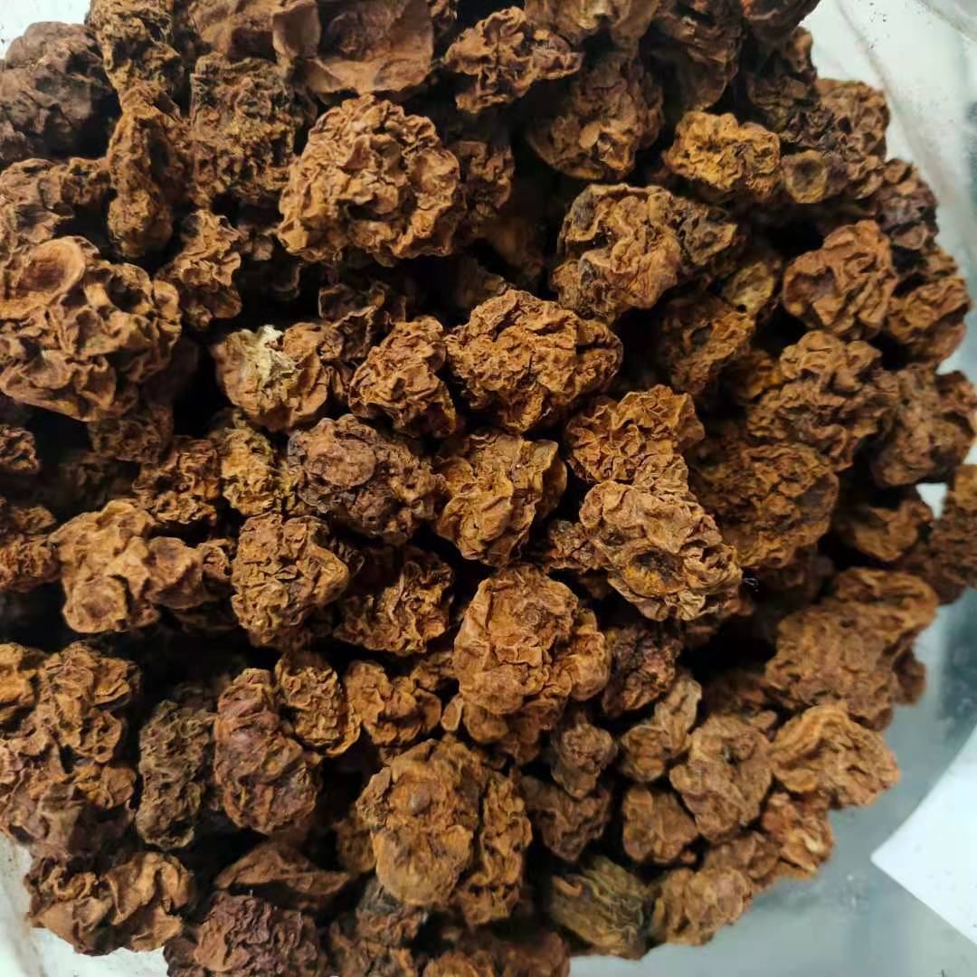 桓仁天蓼虫瘿果粉猫薄荷球粉嫩叶木天蓼棒棒糖洁齿磨牙棒缓解压力