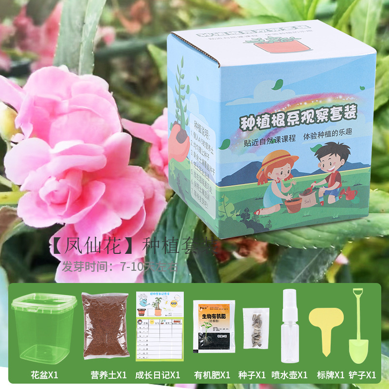 Children's Potted Primary School Students Plant Scientific Planting Growth and Germination Observation Box Kindergarten Creative Gift Tree Planting Festival