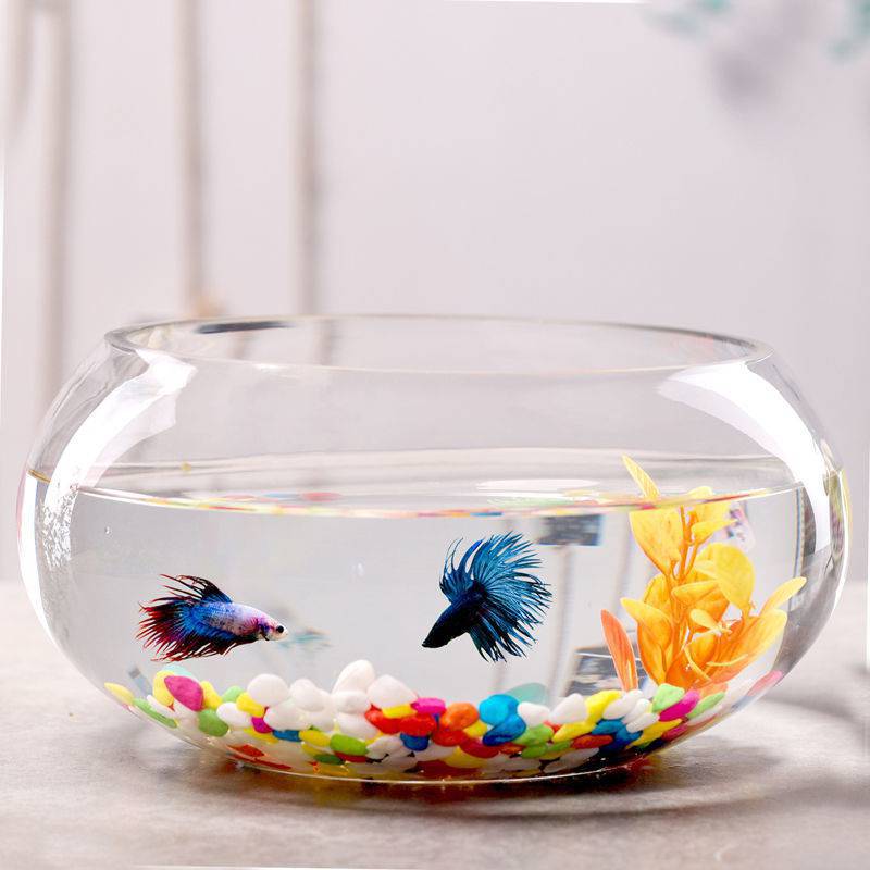 鱼缸透明玻璃办公桌水培圆形圆球圆型小型乌龟迷你桌面小鱼缸
