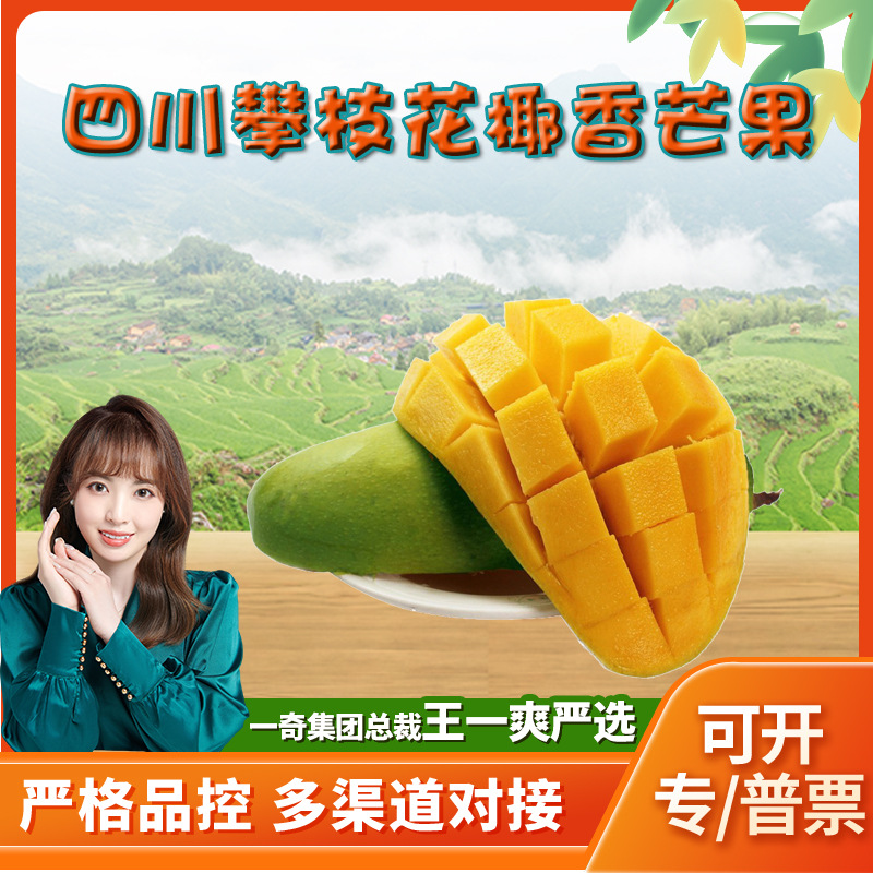 四川攀枝花椰香芒果 代发3/5斤大果应季甜糯孕妇水果非桂七芒果