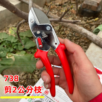 葡萄枝省力剪粗枝剪果树剪园艺绿化剪刀修枝剪花艺剪果枝剪五金工
