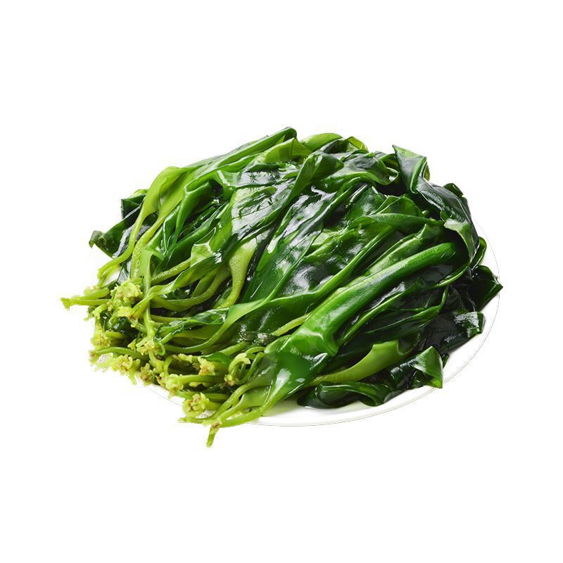 霞浦新鲜用非凉拌菜海带芽