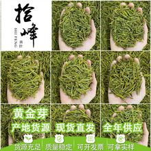 浙江2024年新茶明前茶春茶绿茶安吉工艺浓香型黄金芽茶叶批发散装