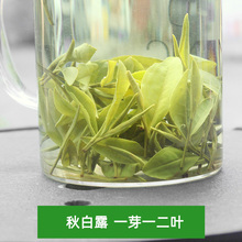 有礼盒一芽一二叶级白茶2023年新茶高山安吉绿茶叶