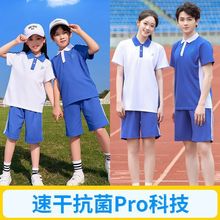 深圳校服速干小学生夏季套装索罗娜吸汗透气校服长袖长裤秋装