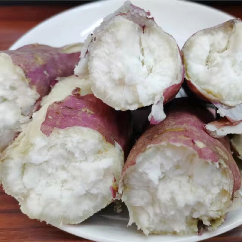 海南富硒三角宁地瓜沙地红薯粉糯甜板栗番薯新鲜白心山芋一件代发