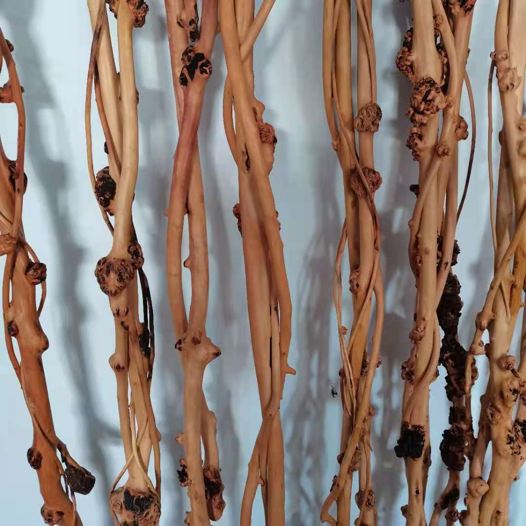 黑果木禅杖手杖把玩棍黑果木山茶木景区庙会麻梨疙瘩随型随行根雕