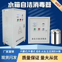 水箱自洁器臭氧W-2A/2B/ZM内外置式生活水消防水微电解