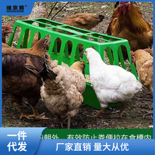 喂鸡食槽塑料鸡喂食器防撒喂水槽鸡盆养殖鸭鹅饲料桶防扒料打不翻