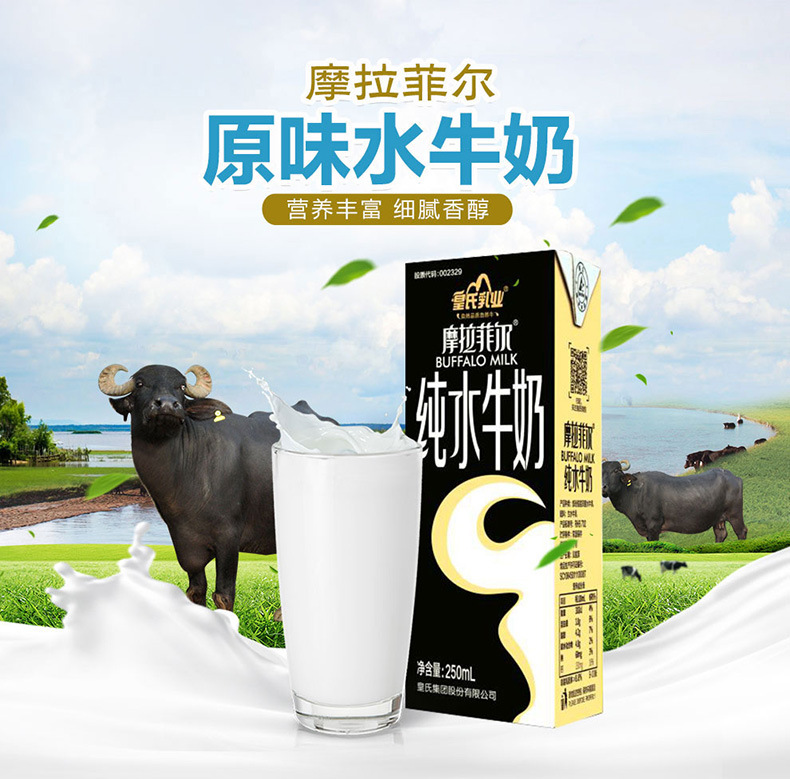皇氏乳业摩拉菲尔原味纯水牛奶纯牛奶营养早餐奶250ml*12盒整箱装