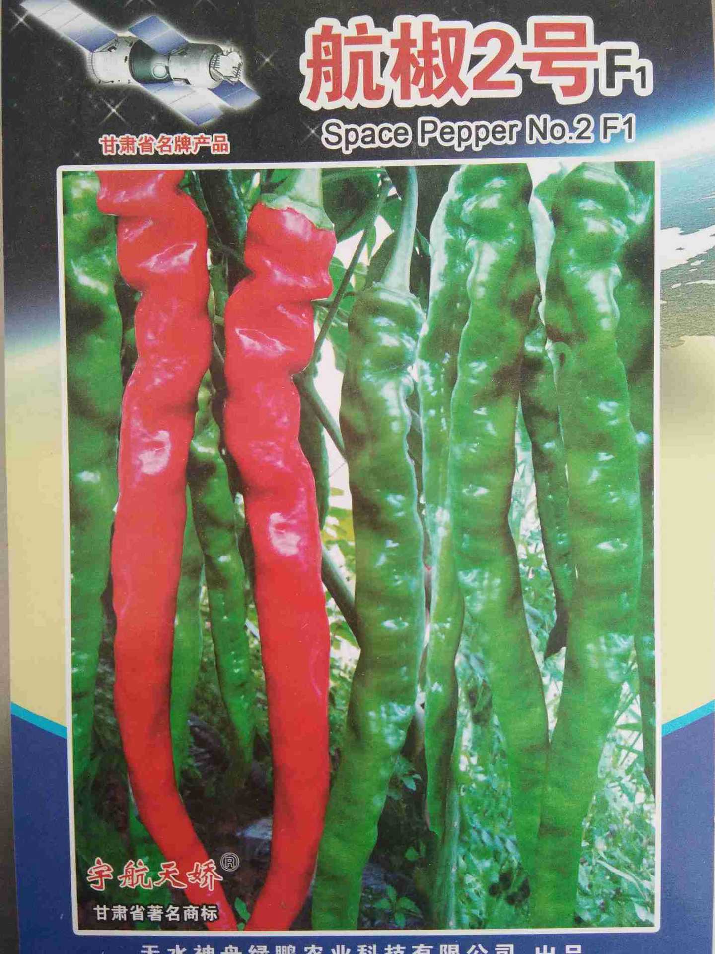 精品航椒2号,太空搭载选育,优质高产,长羊角螺丝椒.