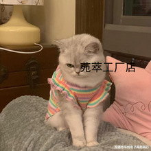 新款彩条情侣狗狗衣服春秋款猫咪宠物博美比熊泰迪衣服小型犬