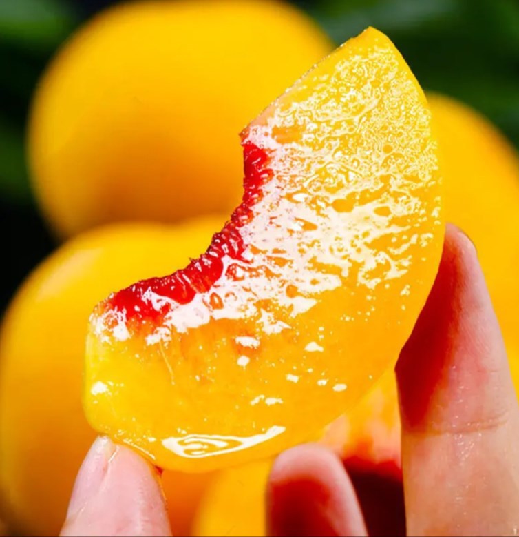 山东/陕西 红心锦绣黄桃5斤水蜜桃子 香甜爆汁黄肉新鲜应季水果