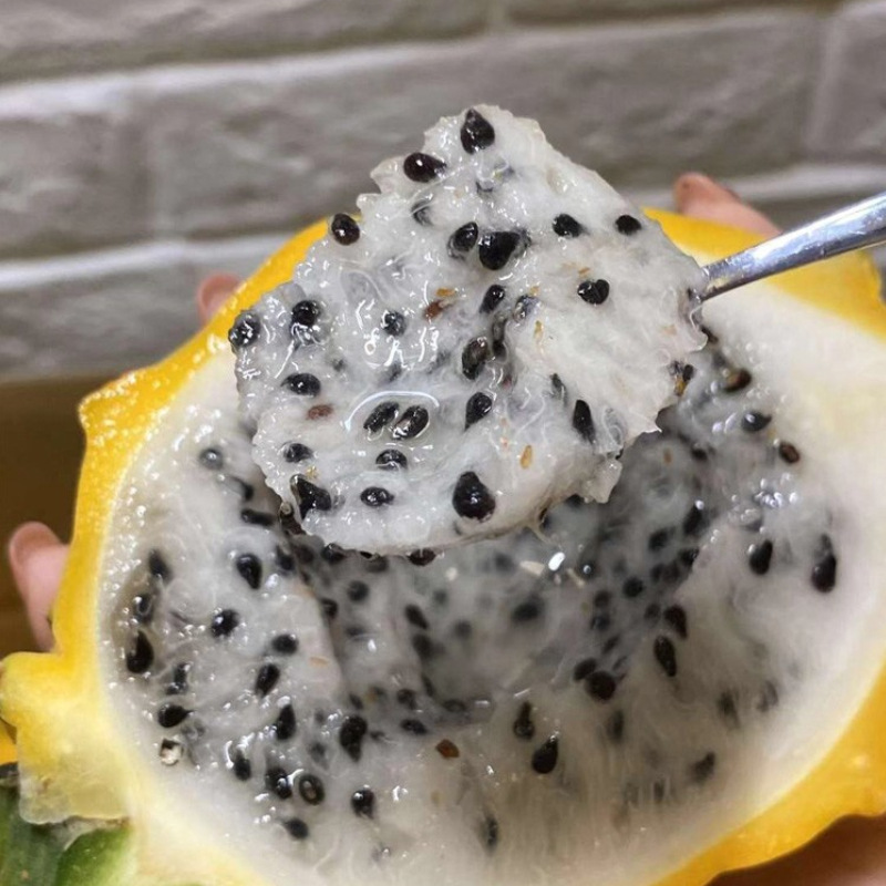 海南麒麟果黄色火龙果麒麟燕窝果新鲜黄龙果4斤空运 【一件起拍