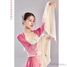 古典舞蹈服纱衣中国舞练功服女身韵仙气飘逸雪纺上衣古风演出服仙