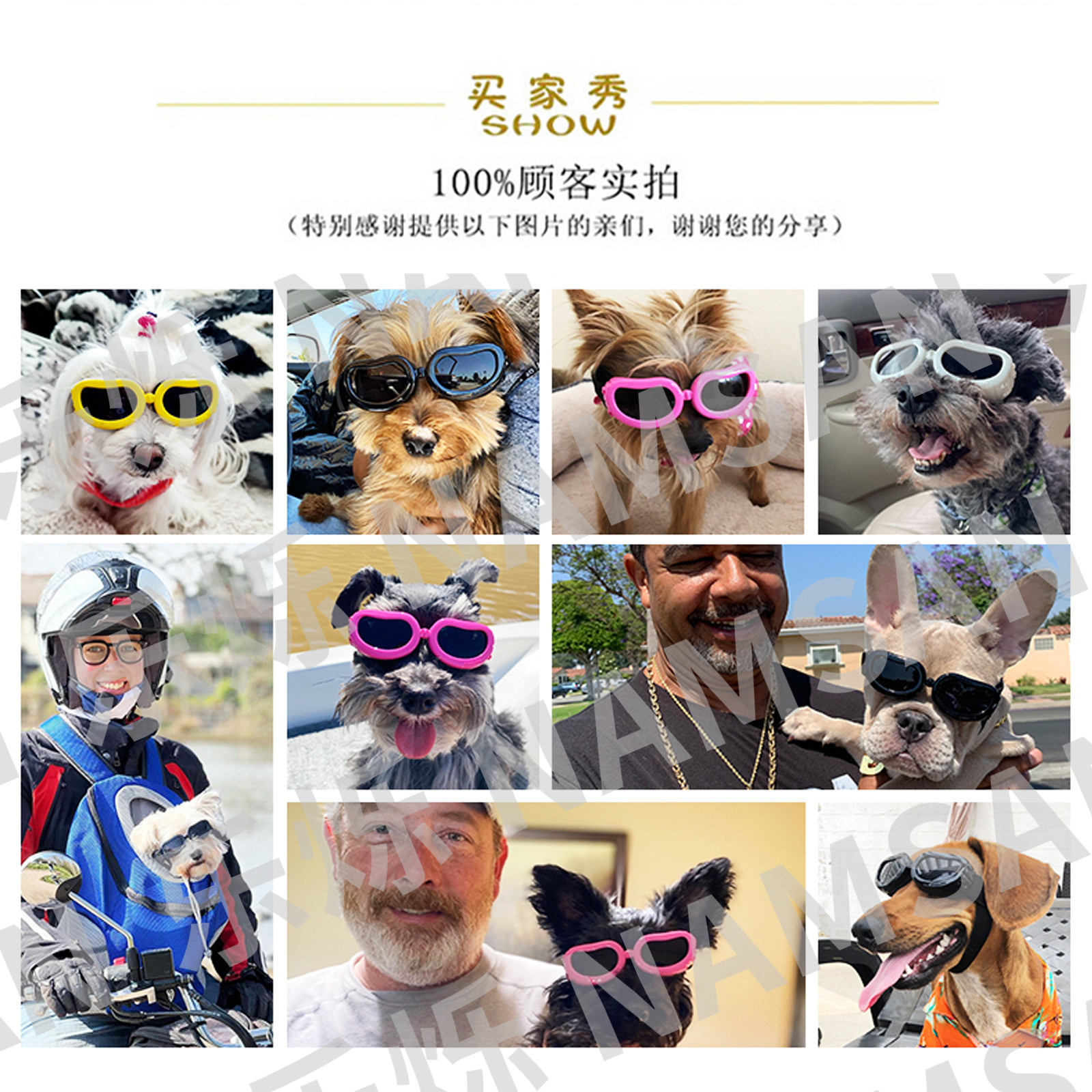 Pet Supplies Cat Glasses Amazon Dog Goggles Sunglasses Summer Uv Protection Factory Wholesale